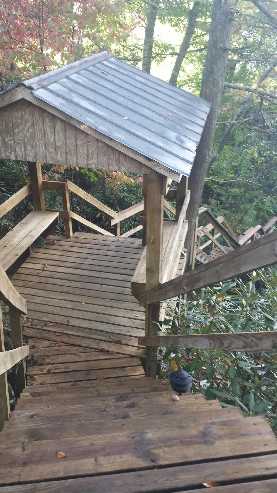 Metal roofed shelter over wooden steps on a wooded walkway — Skylight Repair & Installation work by our crew in Snohomish