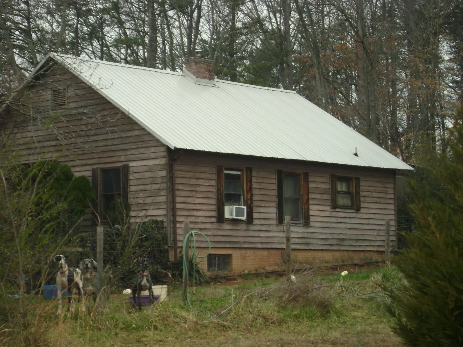 White metal roof on an old wood sided farmhouse, from a Metal Roof Installation job in Snohomish